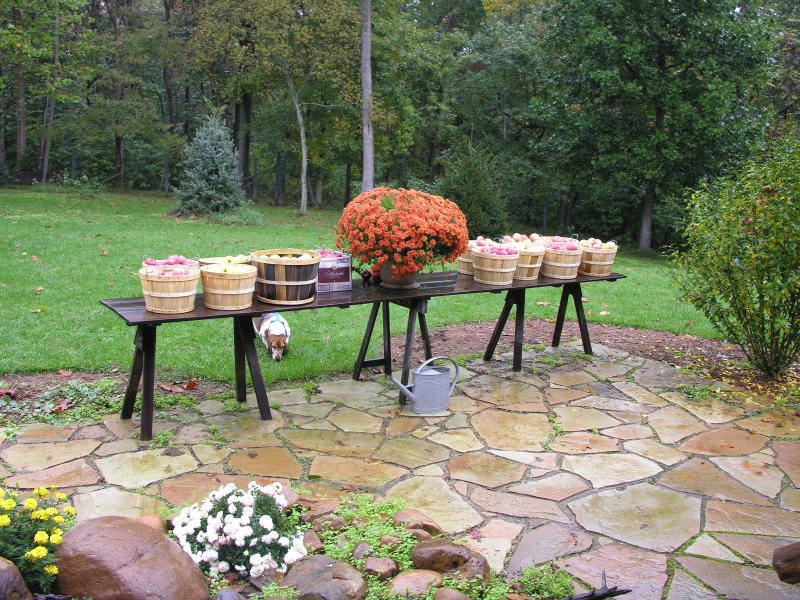 0610061237azainwva.jpg