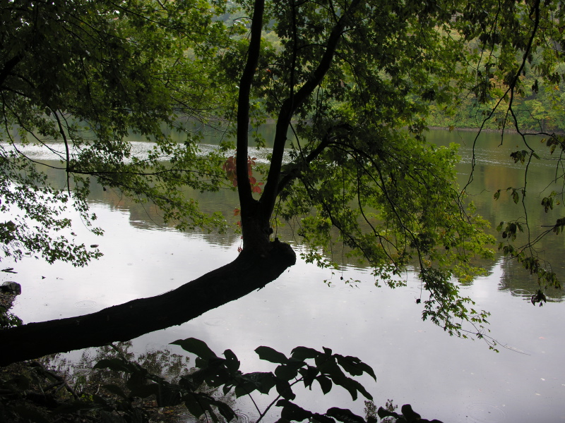 0610061254_2Potomacriver.jpg