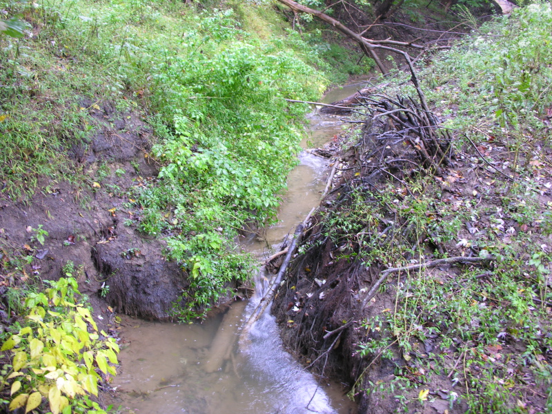 0610061255_2Potomacriver.jpg