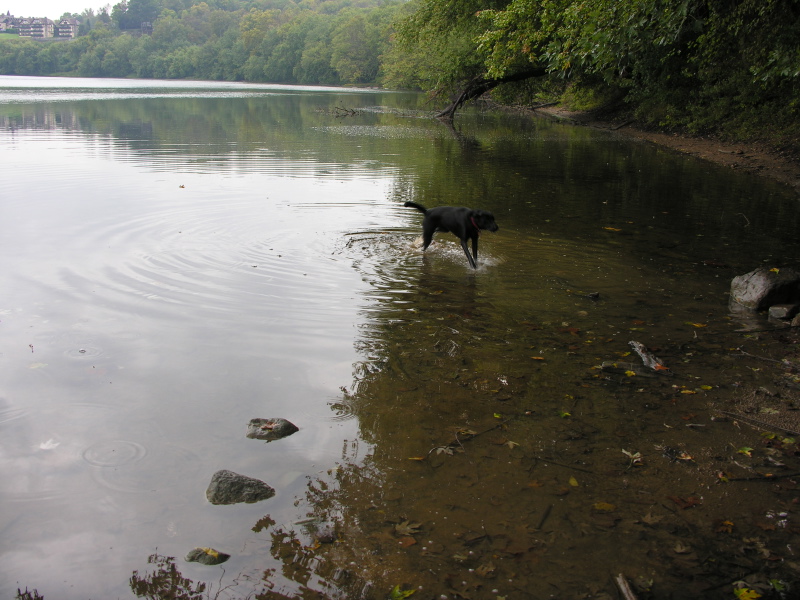 0610061257Potomacriver.jpg