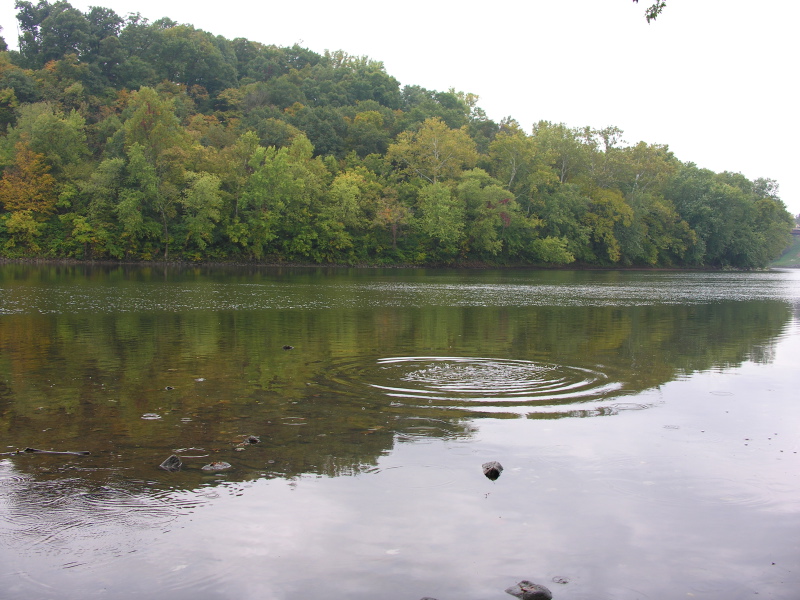 0610061259Potomacriver.jpg