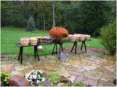 0610061237AZAinWVA.jpg