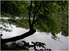 0610061254_2PotomacRiver.JPG