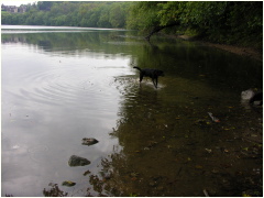 0610061257PotomacRiver.JPG