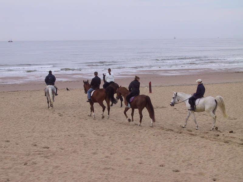 0106beaches09thehague.jpg
