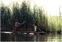 dugoutcanoe03.jpg