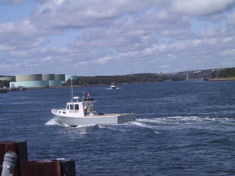 060826capecodcanal37lobsterboatrarebird.jpg