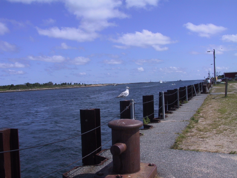 060826capecodcanal62lookingeast.jpg