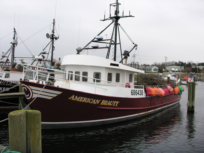 061227sandwichcanal07lobsterboatamericanbeauty.jpg