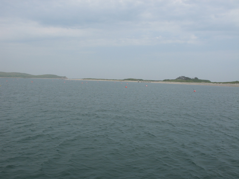 m0606aquaculturefarmclams.jpg