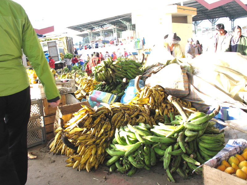 Click on image to return to index 16ambatomarket.jpg