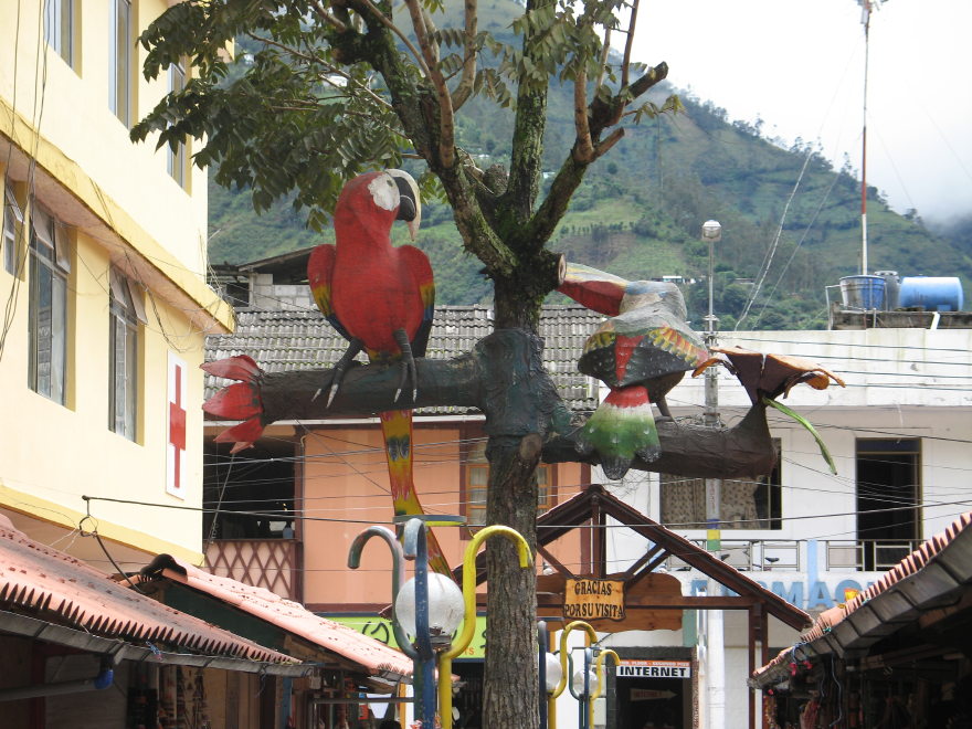 41banosecuador.jpg