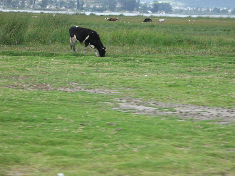 09lagunasanpablo.jpg