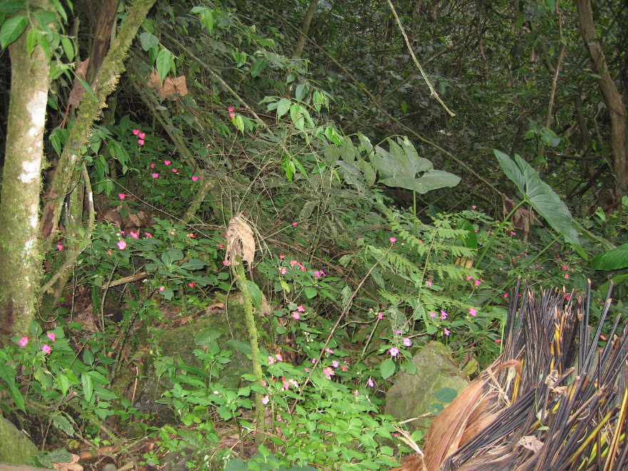 Click on image to return to index 26pailondeldiablo.jpg