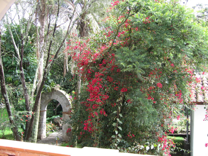 Click on image to return to index 03quintameraambato.jpg