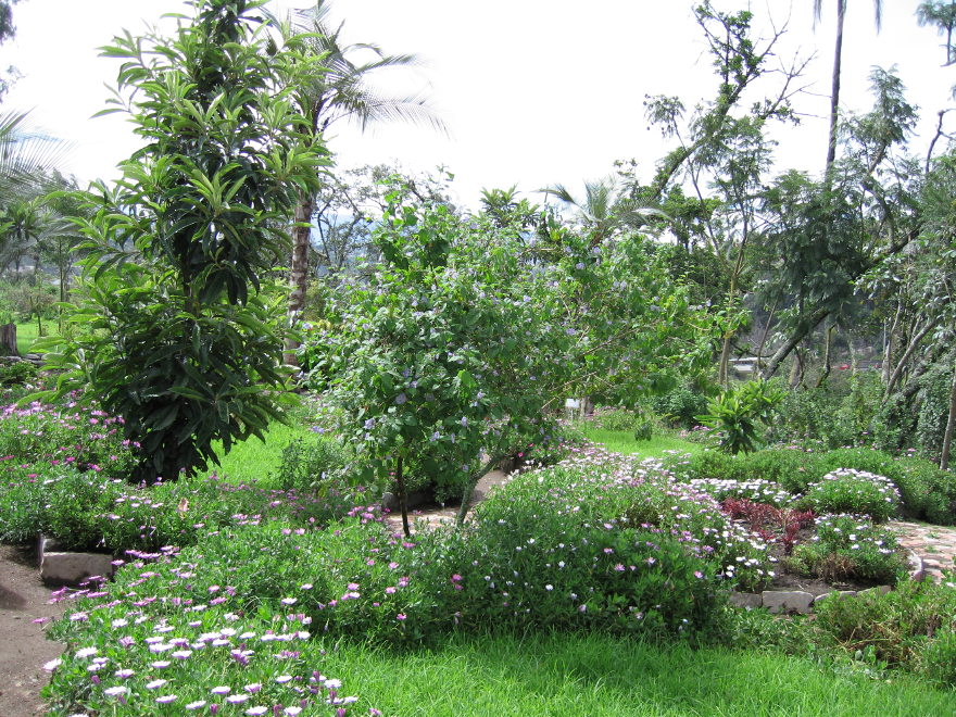 Click on image to return to index 12quintameraambato.jpg