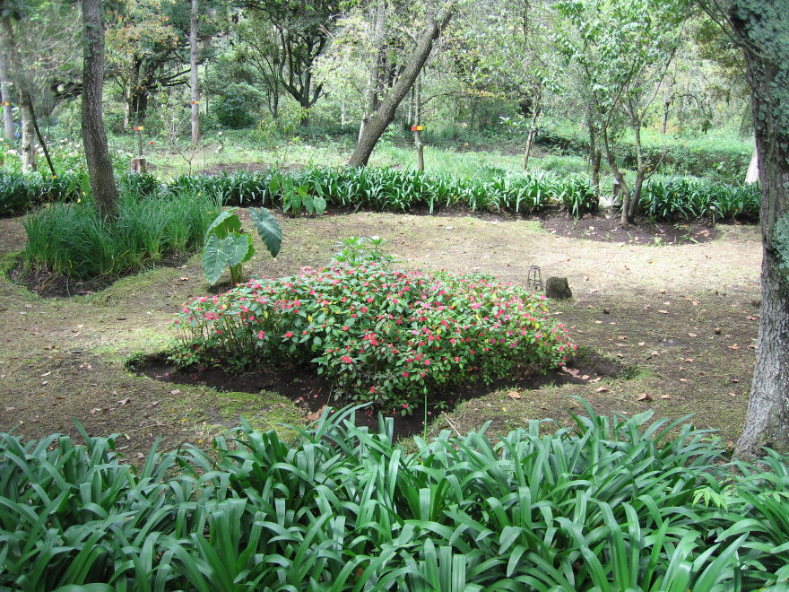 Click on image to return to index 14quintameraambato.jpg