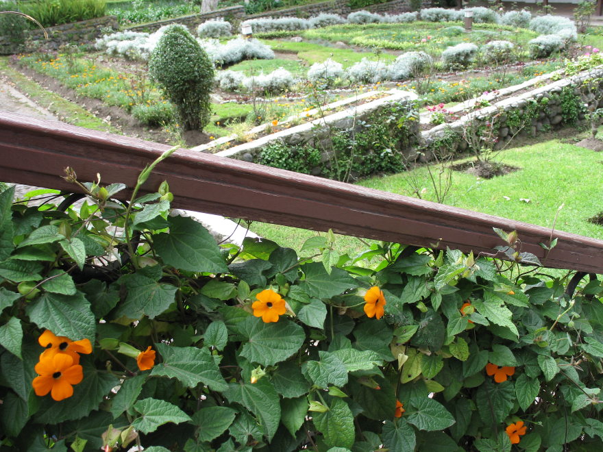 Click on image to return to index 18quintameraambato.jpg