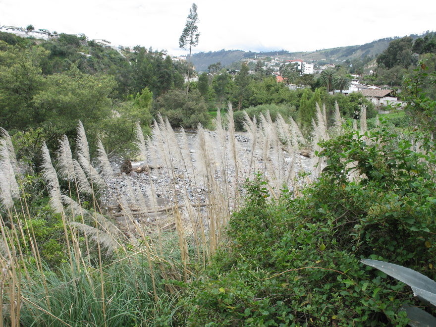 Click on image to return to index 19quintameraambato.jpg