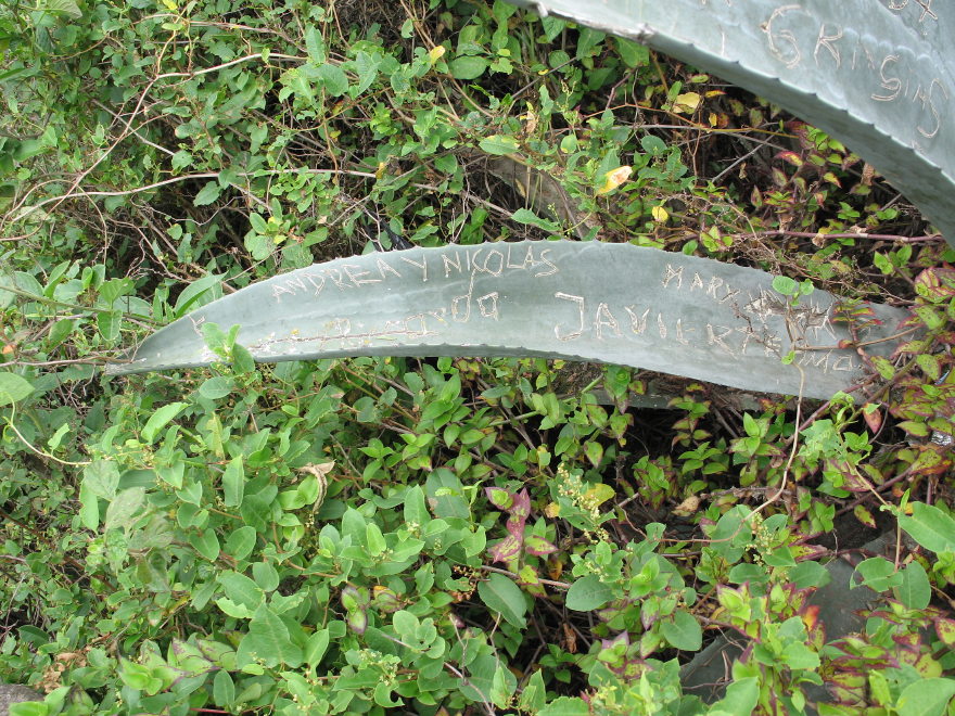 Click on image to return to index 20quintameraambato.jpg