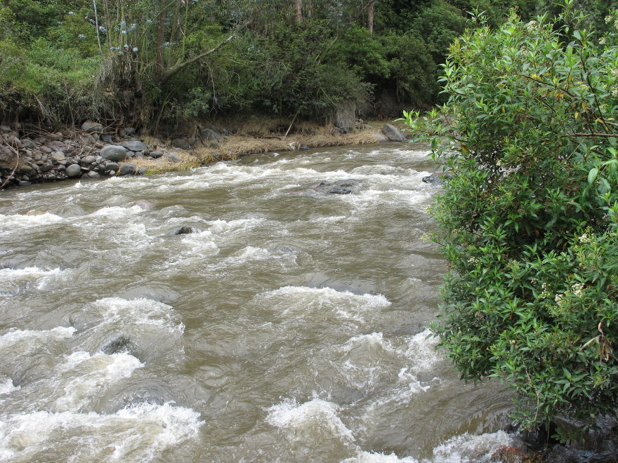 Click on image to return to index 23quintameraambato.jpg