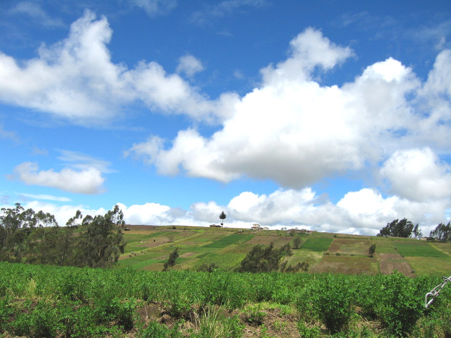 Click on image to return to index 17quisapinchaecuador.jpg