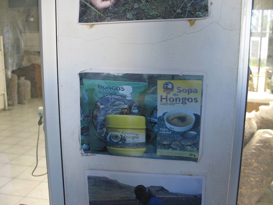 Click on image to return to index 12salinascooperatives.jpg