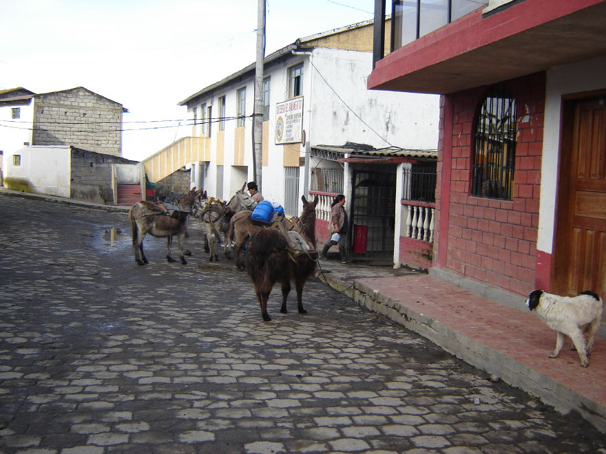 Click on image to return to index 15salinascooperatives.jpg