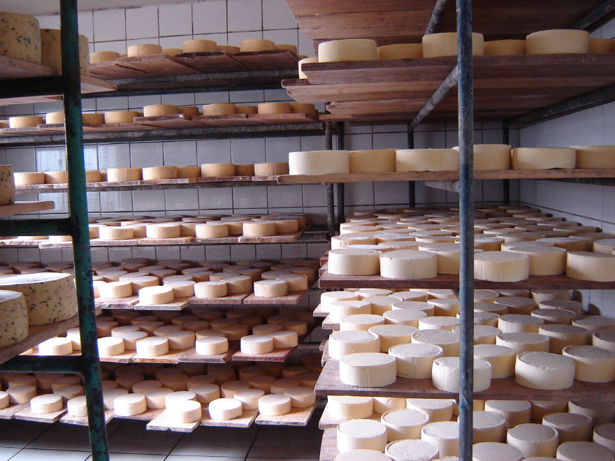 Click on image to return to index 19salinascooperatives.jpg