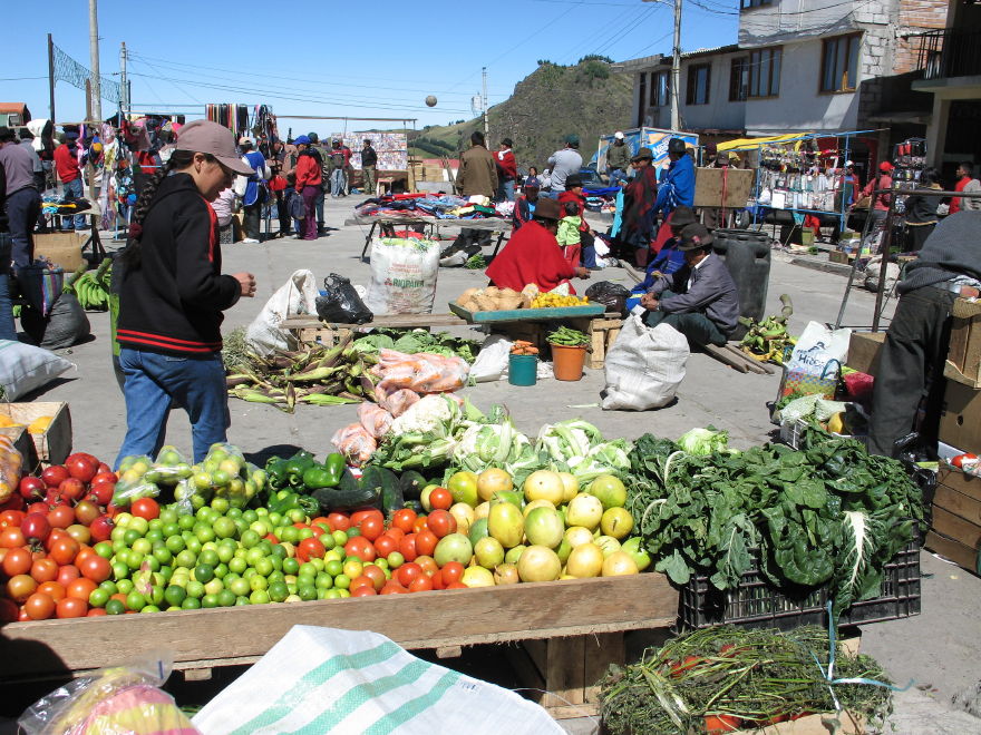 Click on image to return to index 34salinasdeguarandaecuador.jpg