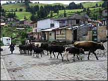 14salinasdeguarandaecuador.jpg