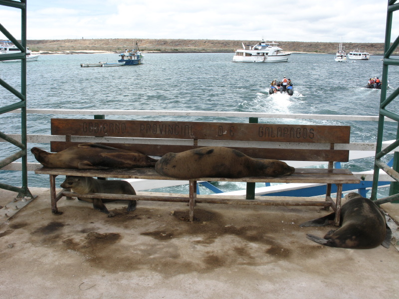 Click on image to return to index 12baltra_2.jpg