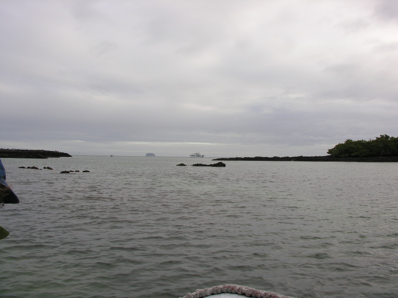 Click on image to return to index 23baltra_2.jpg