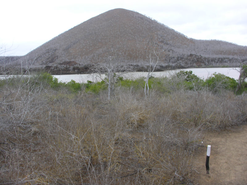 Click on image to return to index 03floreanacormorantpoint.jpg