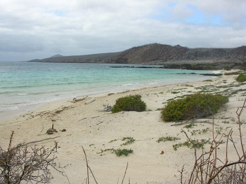19floreanacormorantpoint.jpg