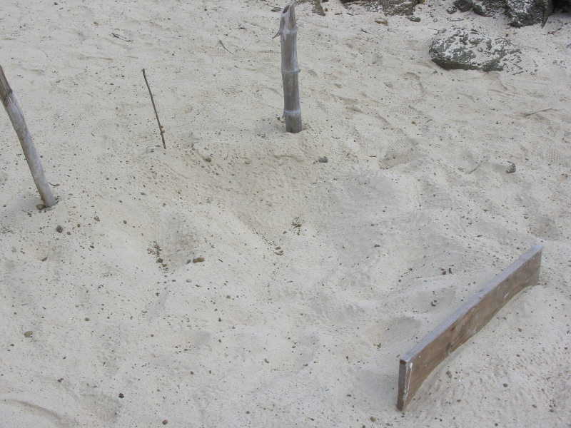 23floreanacormorantpoint.jpg