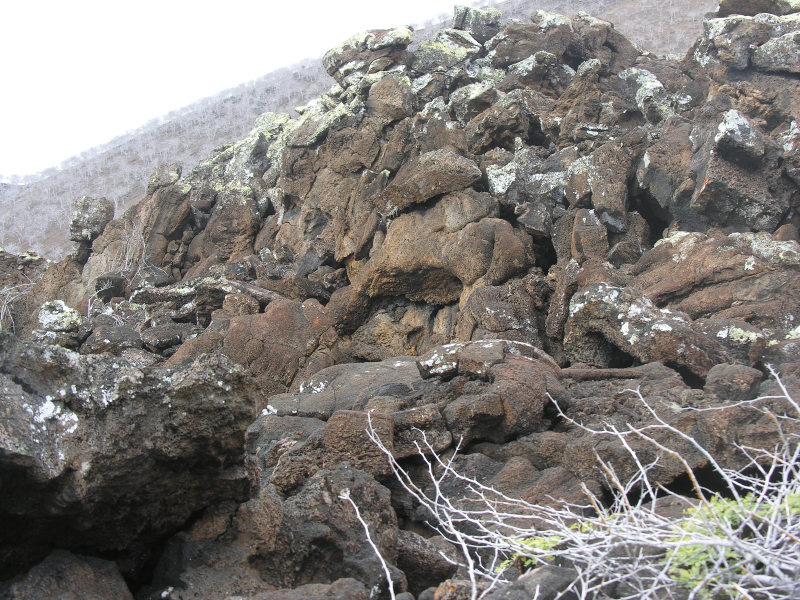 27bfloreanacormorantpoint.jpg