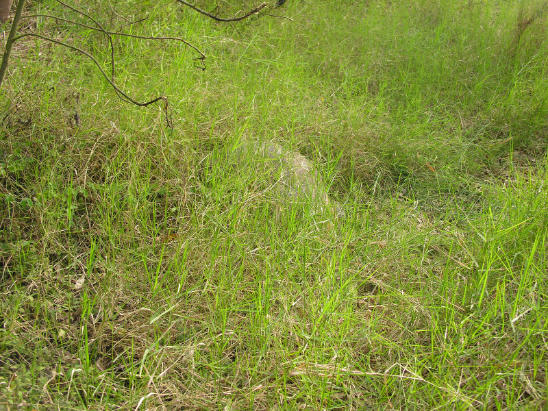 Click on image to return to index 29nationalparkhighlands.jpg