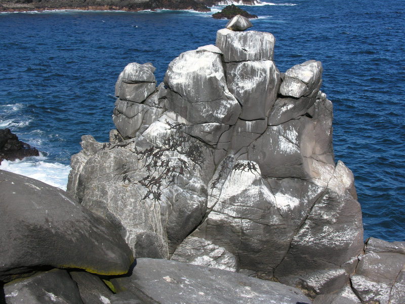 Click on image to return to index 14puntasuarez_2.jpg