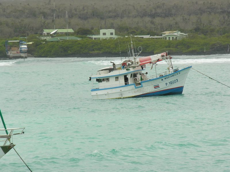 Click on image to return to index 31puertoayora.jpg