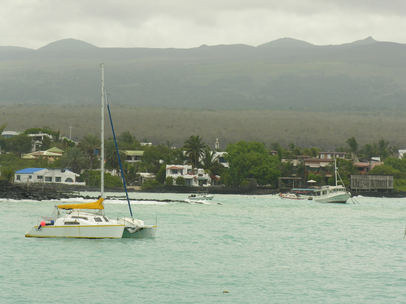 Click on image to return to index 35puertoayora.jpg