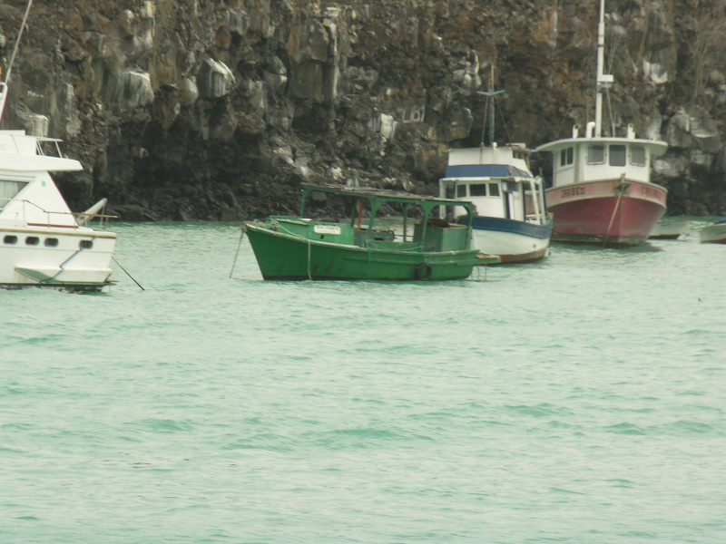 Click on image to return to index 36puertoayora.jpg