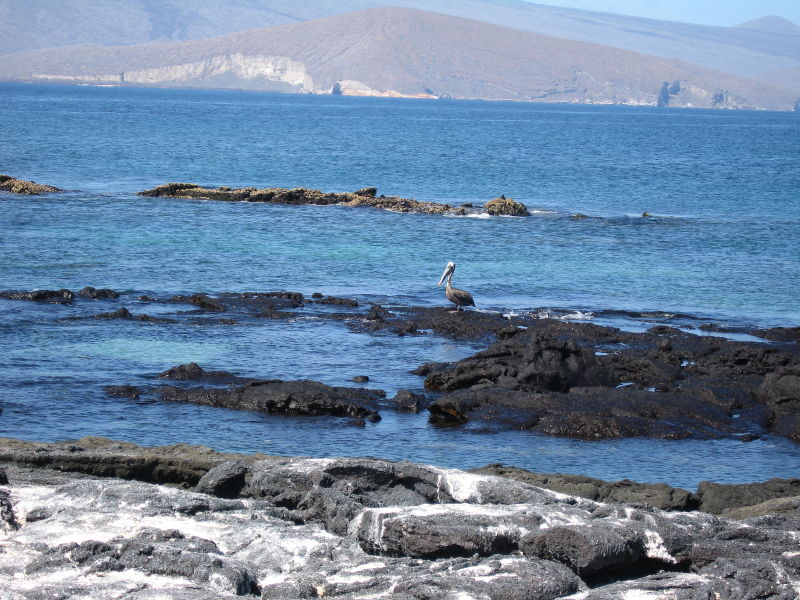 Click on image to return to index 08puntaespinosa.jpg