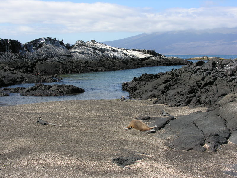 Click on image to return to index 09puntaespinosa.jpg