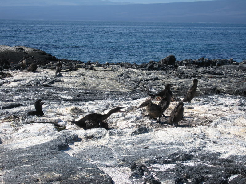 Click on image to return to index 13puntaespinosa.jpg