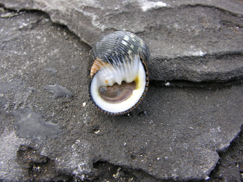 13puertoegas_2.jpg