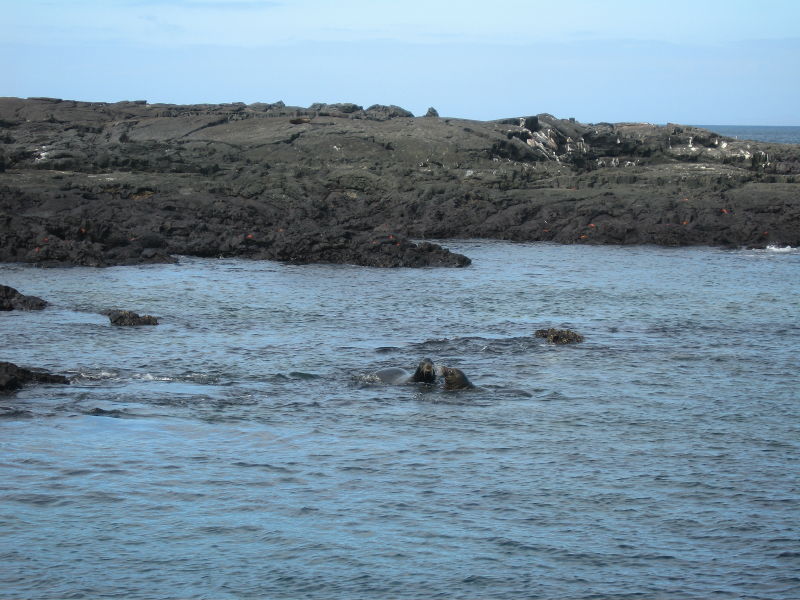 22puertoegas_2.jpg