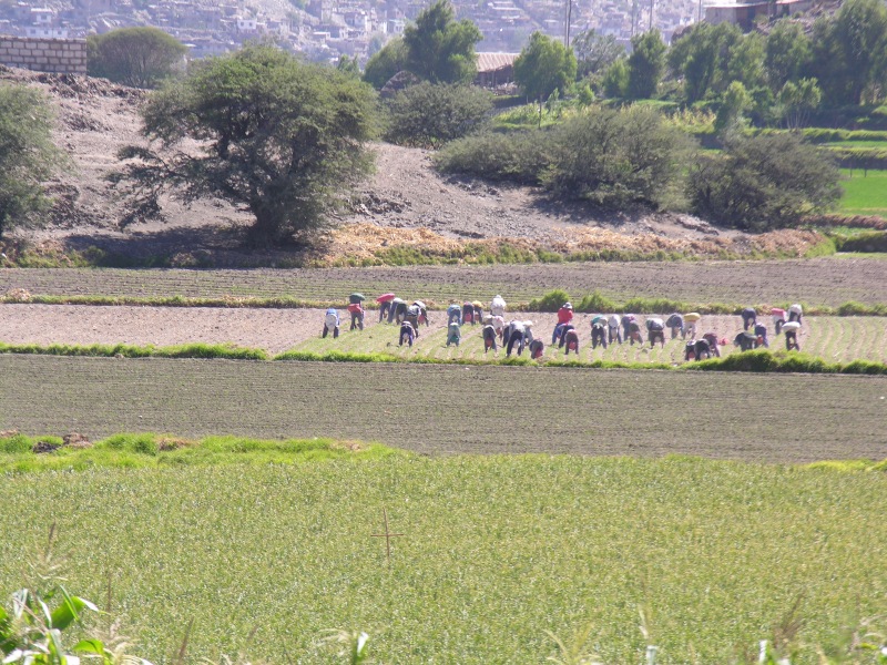 20arequipacountryside.jpg