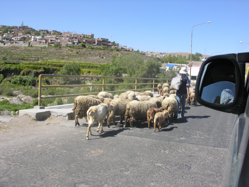 26arequipacountryside.jpg