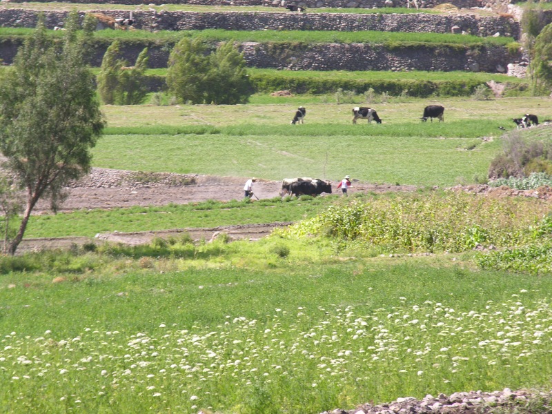 28arequipacountryside.jpg